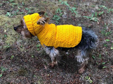 Crochet Patterns Galore Small Dog Hoodie Sweater