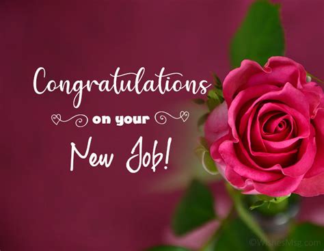 Congratulations Messages For New Job New Job Wishes Congrats On New