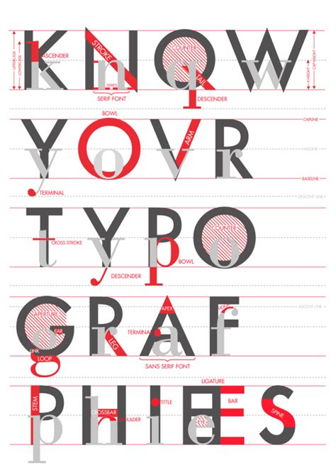 Emmadooc “know Your Typographies” A Poster On The Anatomy Of Letters