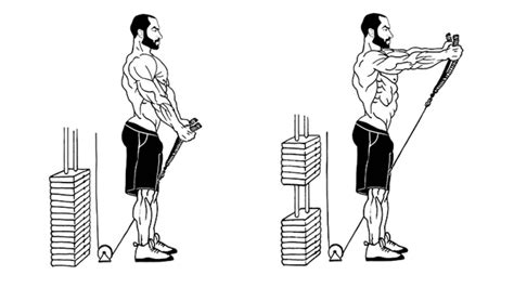 Cable Front Raise Muscles Worked Benefits Tips