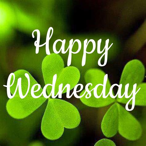 Happy Wednesday M Hope You Guys Have A Grand Afternoon Together Xx