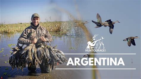 Epic Duck Hunting In Argentina صيد البط في الأرجنتين Youtube
