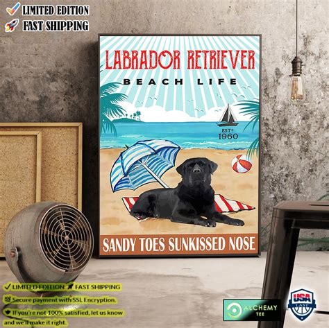 Labrador Retriever Beach Life Sandy Toes Sunkissed Nose Poster