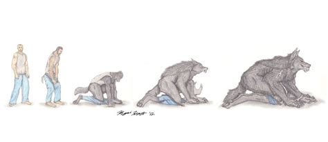 Wolf Man 24 Transformation Sequence By Kigai Holt On Deviantart