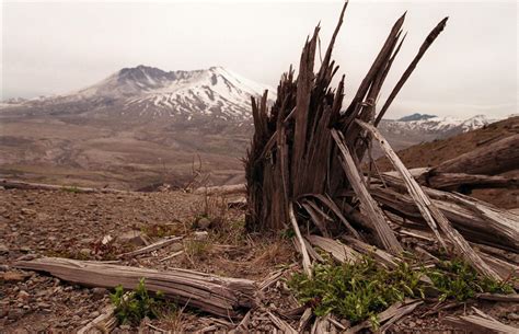 The 1980 Eruption Of Mount St Helens Photos Image 51 Abc News