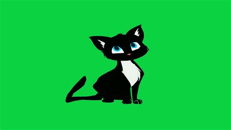 Cute Cartoon Black Cat Animated Free Green Screen Video Youtube