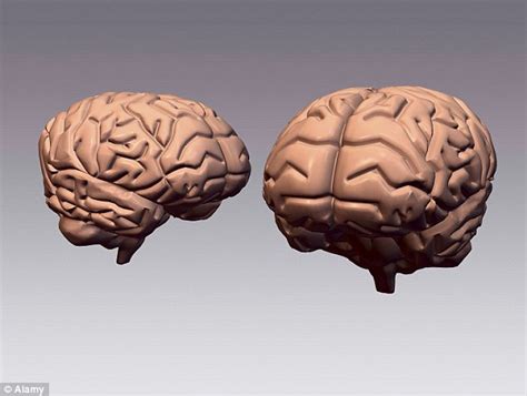 Ut Loses 100 Brains From Psychology Department Daily Mail Online
