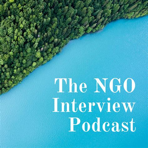 The Ngo Interview Podcast Podcast On Spotify