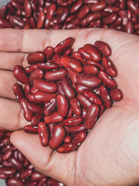 Close Up Red Beans Background Free Stock Photo Public Domain Pictures