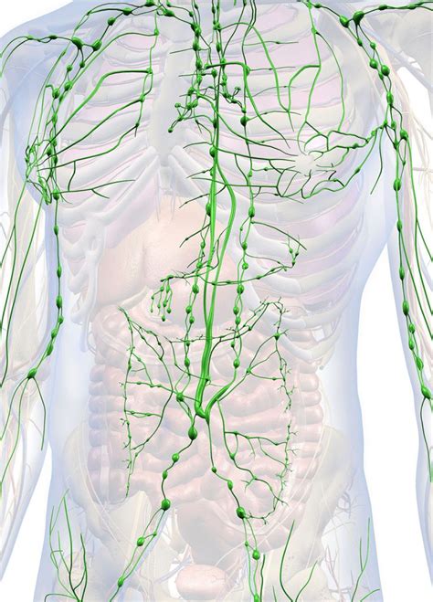 Drainage Lymphatique Centre Sophrène Paris