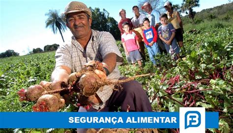 Tecnica Que Revolucionou A Produção E A Oferta De Alimentos