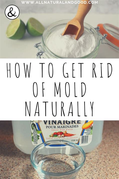 How To Get Rid Of Mold Naturally Without Bleach Or Toxic Chemicals
