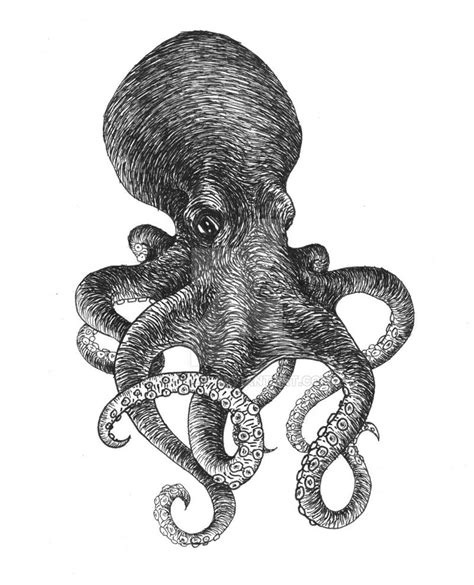 On Deviantart Octopuses Manta Ray