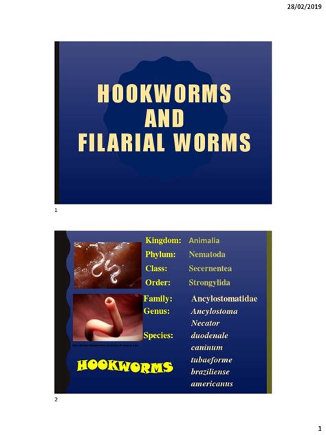 1bio 030 Lecture 4b Nematodes Hookworms And Filarial Worms Pdf