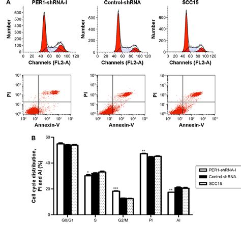 Figure 3 From The Important Tumor Suppressor Role Of PER1 In Regulating