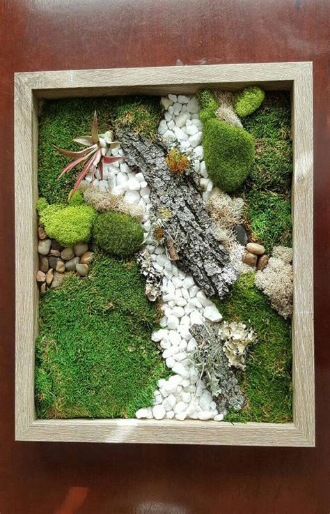 Moss Wall Art Live Plant Preserved Real Moss By Microterra