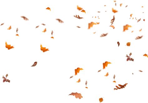 Download Falling Leaves Png Images Flying Autumn Leaf Png Free