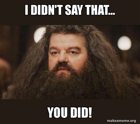 I Didnt Say That You Did Hagrid I Should Not Have Said That