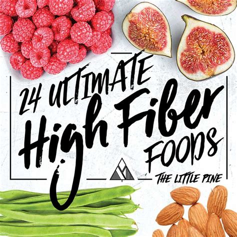 Dietary fiber is an essential component of any healthy meal plan. 24 Ultimate High Fiber Foods - Little Pine Low Carb