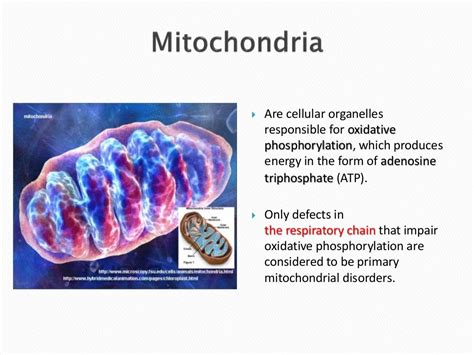 Mitochondrial Diseases Overview