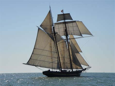 Spotted On The Chesapeake Bay During A Sail Sailing Sailing Ships