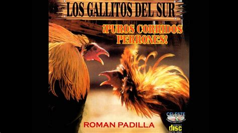 Los Gallitos Del Sur Roman Padilla Youtube