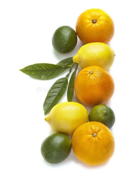 Fresh Citrus Fruit Stock Photo Image Of Ingredient Lime 27717088