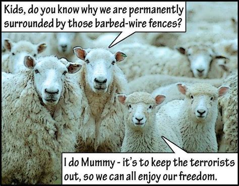 19 Best Sheeple Images On Pinterest Central Bank Conspiracy Theories