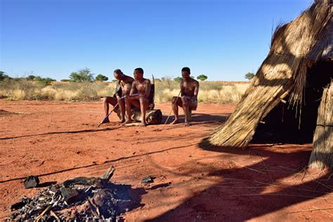 Bushmen Village Kalahari Desert Namibia Stock Photo Download Image