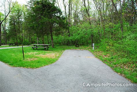 Ford Pinchot State Park Campsite Photos And Camping Information