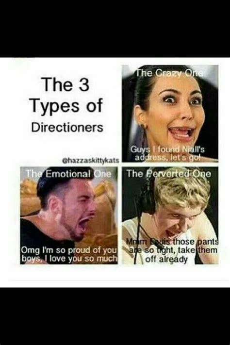 Three Types Of Directioners One Direction Memes One Direction Humor One Direction