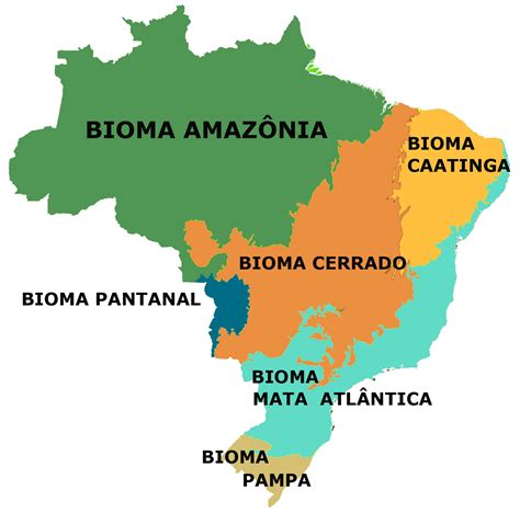 Biomas Brasileiros Resumo Mapa Quais S O Tipos Fauna E Flora
