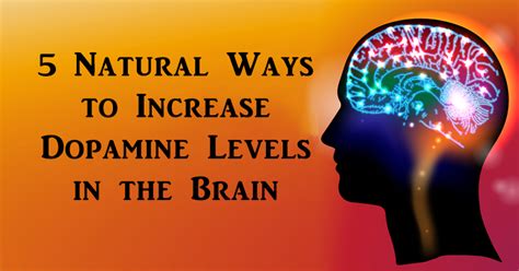 Several lines of research suggest that exercise increases. 5 Natural Ways to Increase Dopamine Levels in the Brain ...