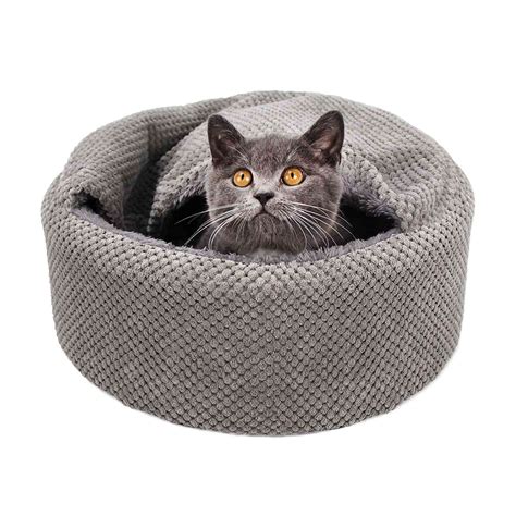The 13 Best Heated Cat Beds Daily Paws