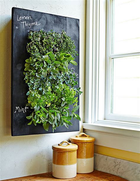 Your Ultimate Guide To Growing Herbs Indoors Vertical Wall Planters