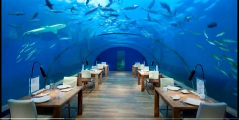Stay At A Luxury Underwater Hotel For The Ultimate Exotic Getaway And