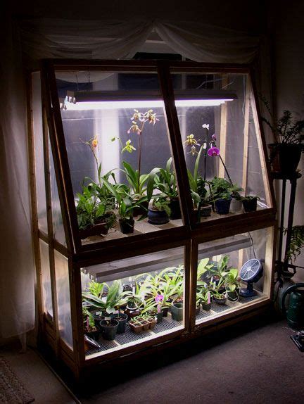 Greenhouse project but don't know where to start? Broke college student = DIY Wardian Case - Orchid Forum ...