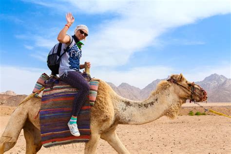 Upload, livestream, and create your own videos, all in hd. Unbelievable Morocco Camel Trekking Experience | Desert ...