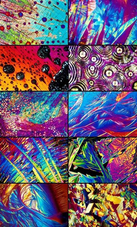 Maybe you would like to learn more about one of these? Different types of alcohol under a microscope. | Things ...