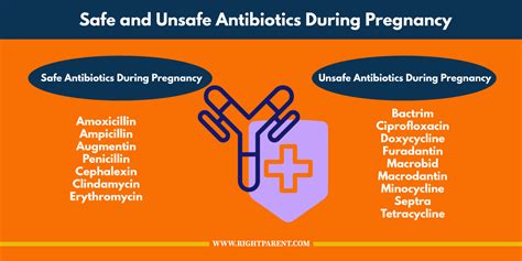 Normal cells become cancerous when a series of mutations leads the cell to continue to grow and divide out of control, and, in a way, a cancer cell is a cell that has achieved a sort of immortality. How Can the Consumption of Antibiotics Affect Fertility?