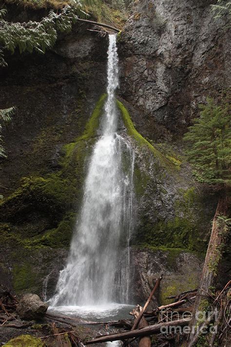 Mossy Waterfall Photograph By Carol Groenen Pixels