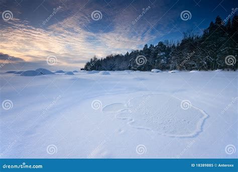 Winter Forenoon Stock Image Image Of Light Cool Outdoor 18389885