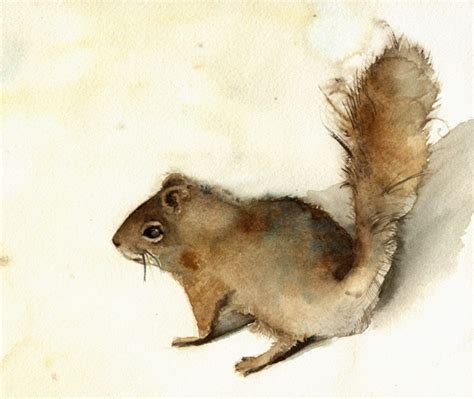 Squirrel Art Squirrel Painting Squirrel Watercolor Nature Etsy