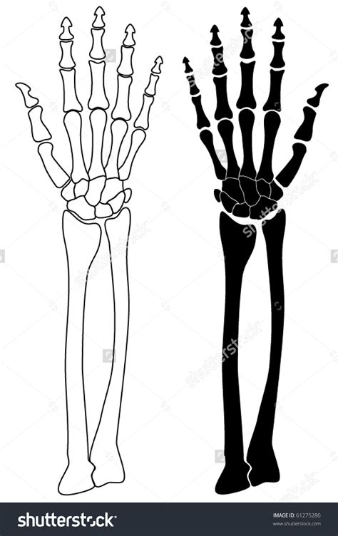 Skeleton Hands Clipart 20 Free Cliparts Download Images On Clipground