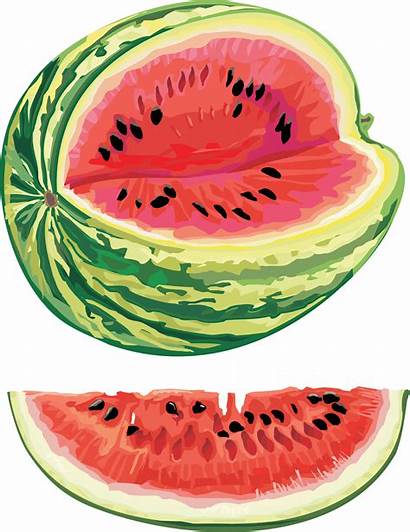 Watermelon Clipart Transparent Background Wtf Weird Purepng