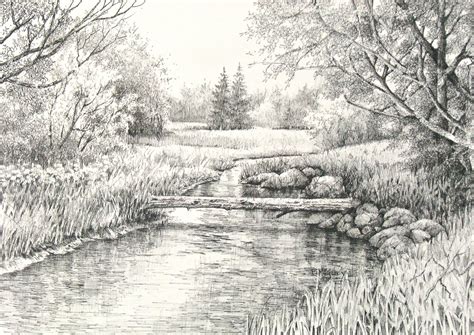 A Pencil Drawing Of A River In The Woods With Grass And Trees On Either