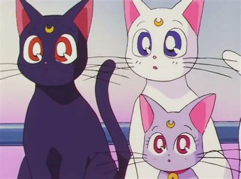 Sailor Moon Aesthetic Cat Aesthetic Sailor Moon Crystal Sailor Scouts Luna Y Artemis
