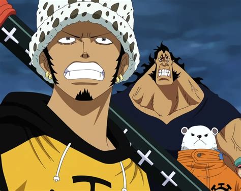 Bepo The One Piece Wiki Manga Anime Pirates Marines Treasure