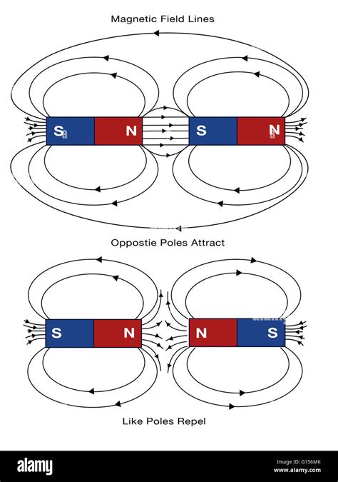 Diagrama De Líneas De Campo Magnético Polos Opuestos Se Atraen Y Polos