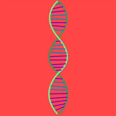 New Stanford Algorithm Could Improve Diagnosis Of Many Rare Genetic